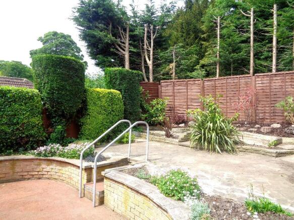 Back Garden
