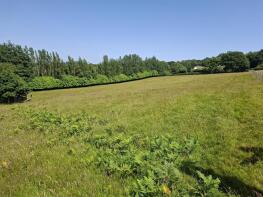 Norwyn, Charmouth Road, Axminster EX13 5ST