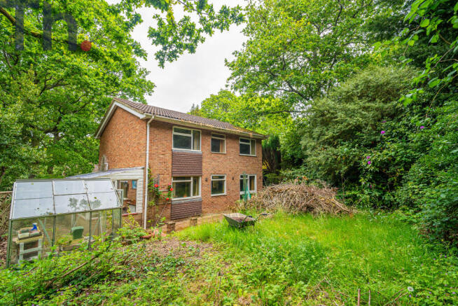 Rear Elevation