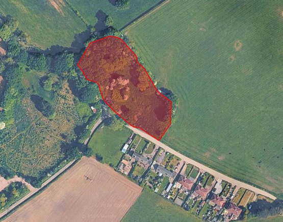 Rookery Wood - Auction Pic 2.png