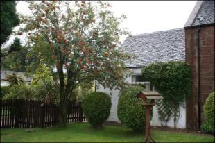 Side Garden