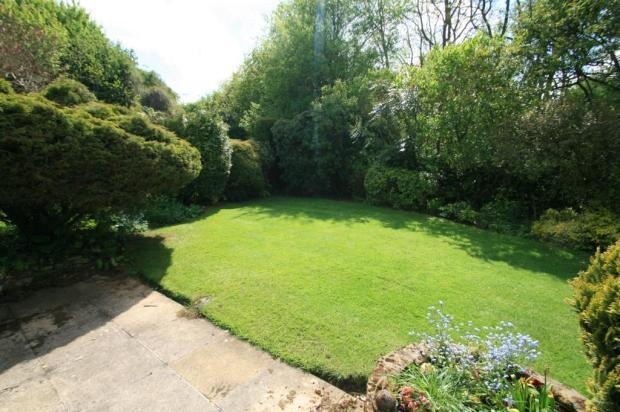 Garden2