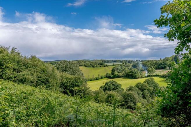 Superb Views