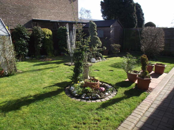 Photo 11
