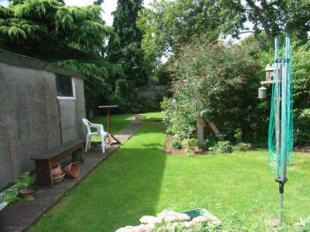 Garden Picture 2