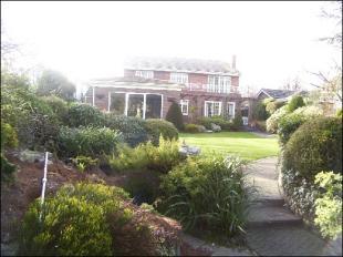 rear of property