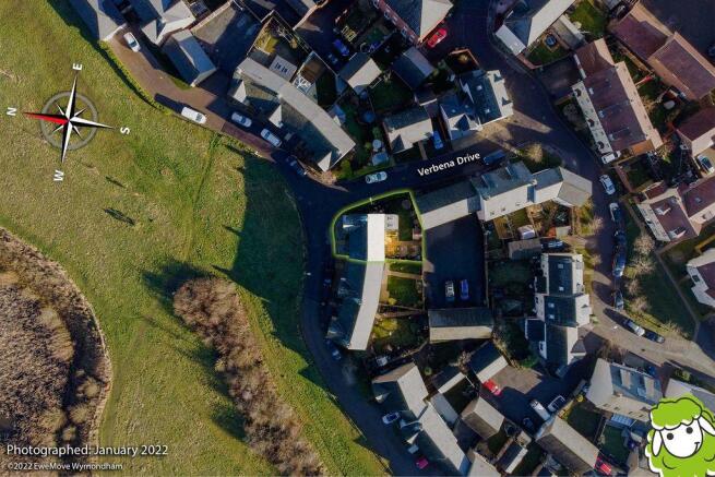 Plot View