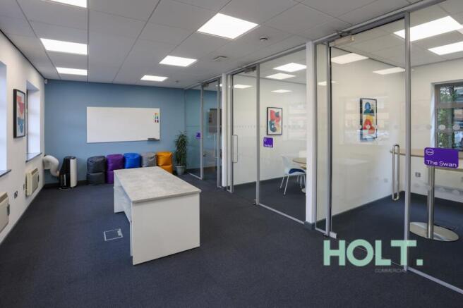 8724  TMWI  GROUND11.jpg