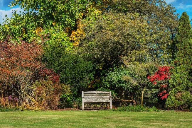 house. estate agent Rudgwick garden bench