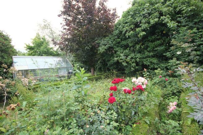 garden3.JPG