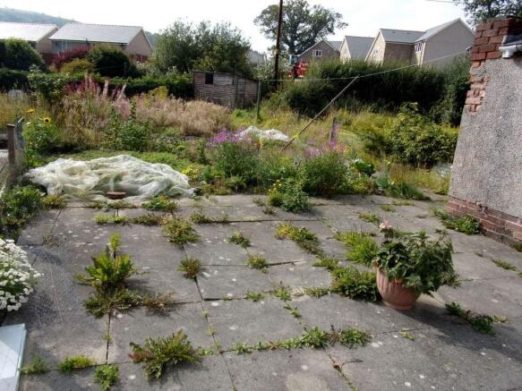 Patio and Garden