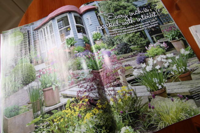 Magazine Articles