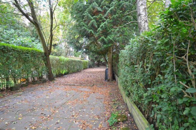 BACK GARDEN