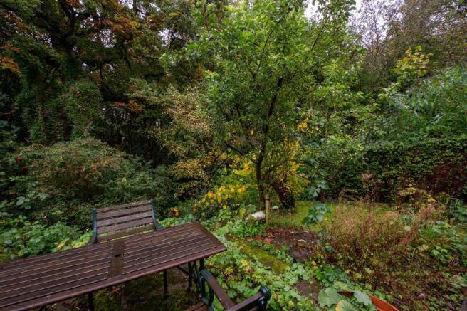 Part of Garden
