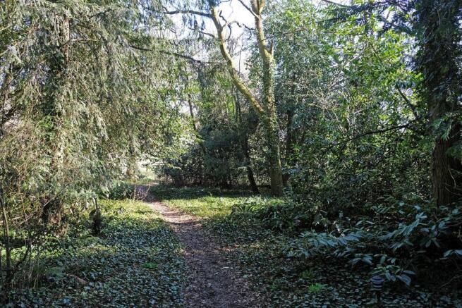 Woodland