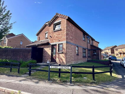 Heol Cadnawes, Morriston, SA6