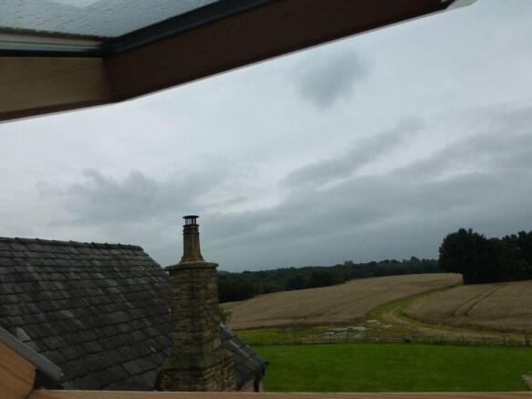 Photo 37