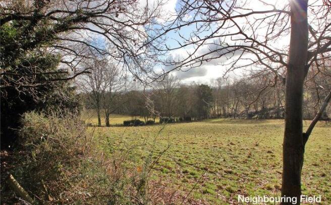 Neighbouring Field