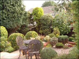 Tiered garden