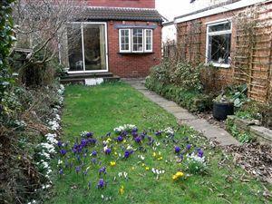 Photo 29