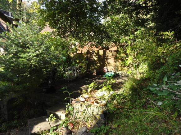 Photo 12