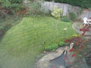 Garden From Above