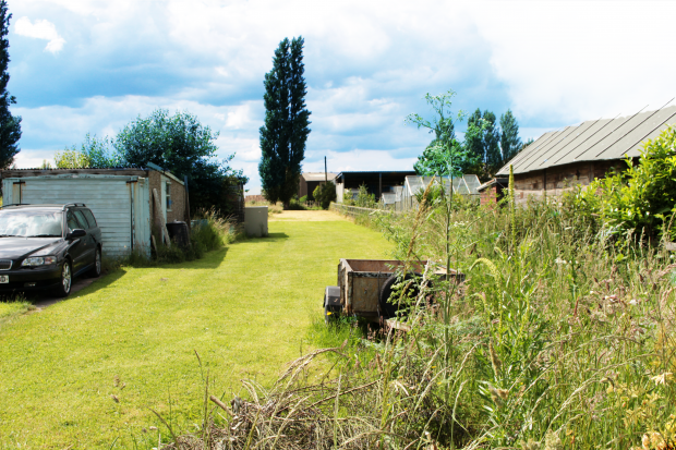 Garden 