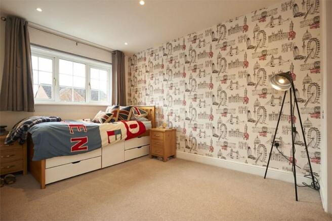 photo8