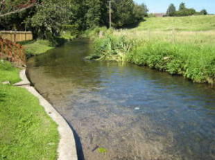 Photo 10