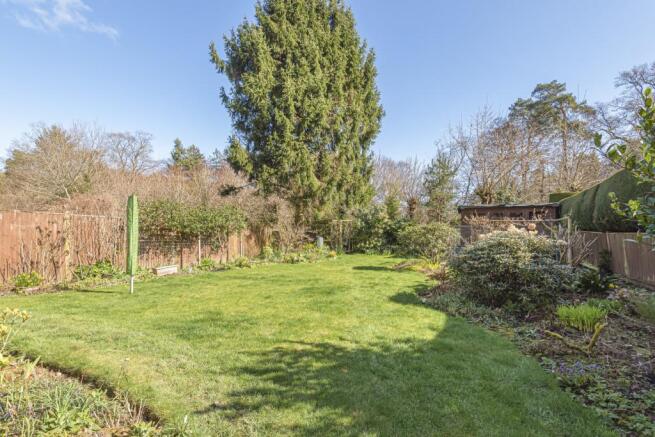 Garden Shot 2