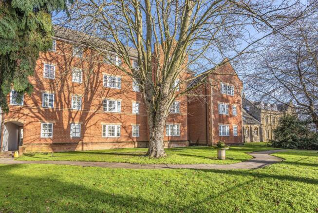 Rear of Property