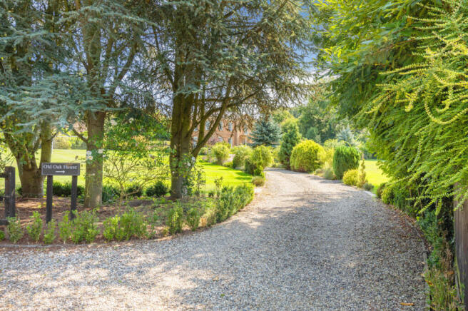 Driveway