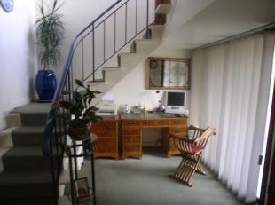 Hall/Study