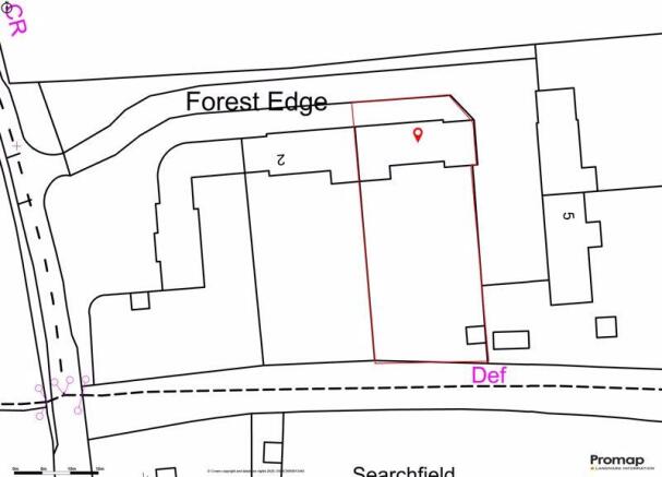 Forest Edge
