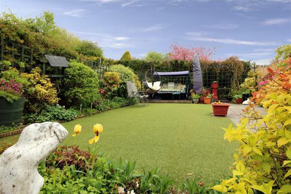 Garden at Back