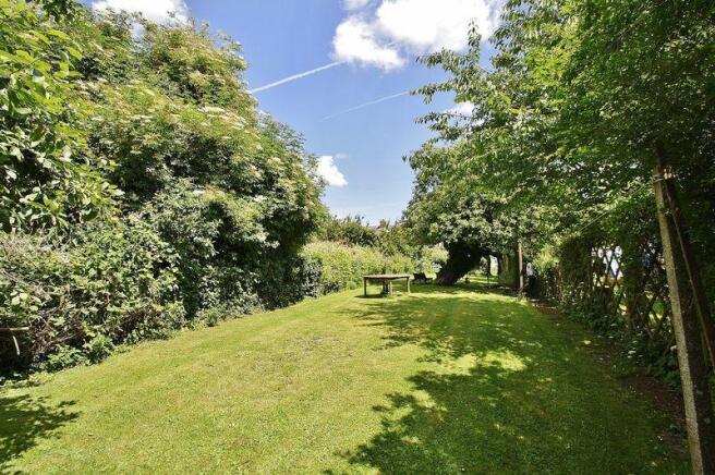 Garden shot 4