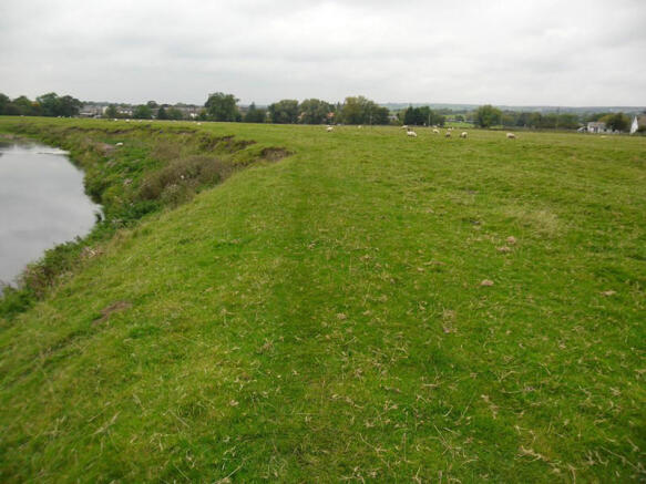 Lot 3