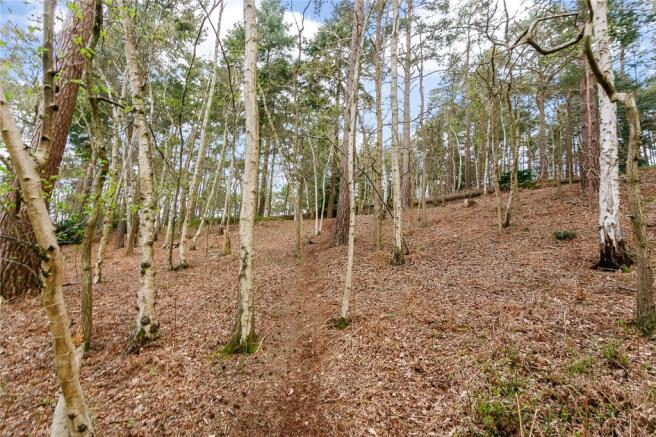 Woodland