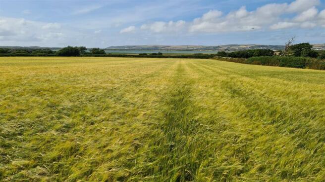 2023-07-13 15.58.48.jpg