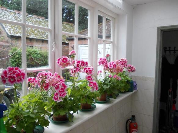 Photo 26