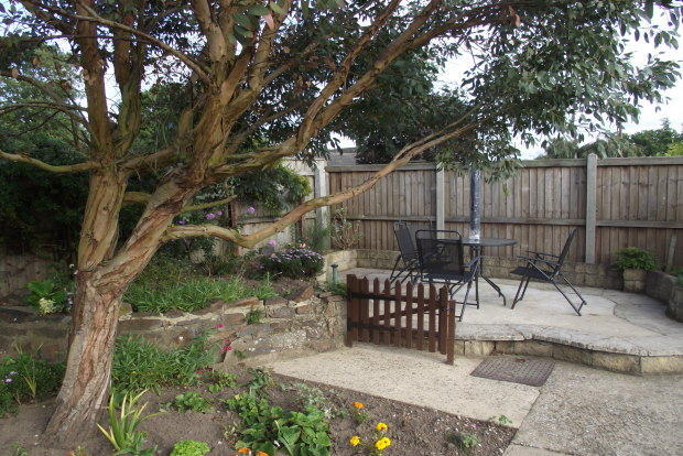 Photo 10