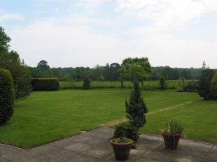 GARDEN VIEW 2