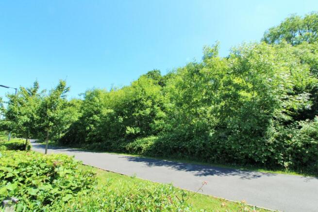 Pathway to Front
