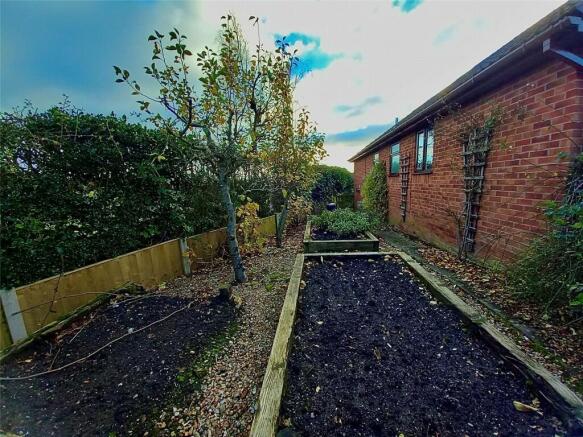 Vegetable Patch