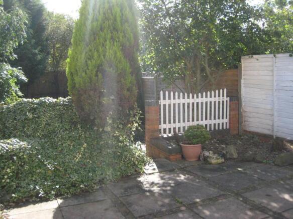 Photo 4