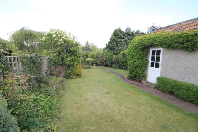 Garden 3.JPG