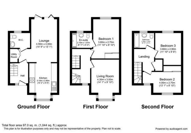 Photo 11