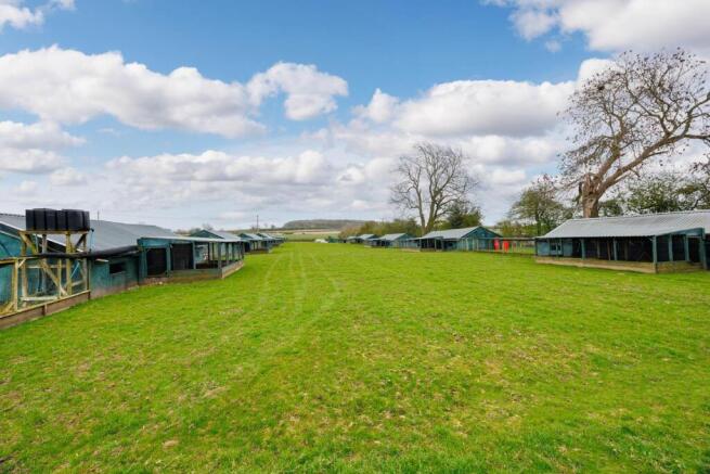 Ground level view of field
