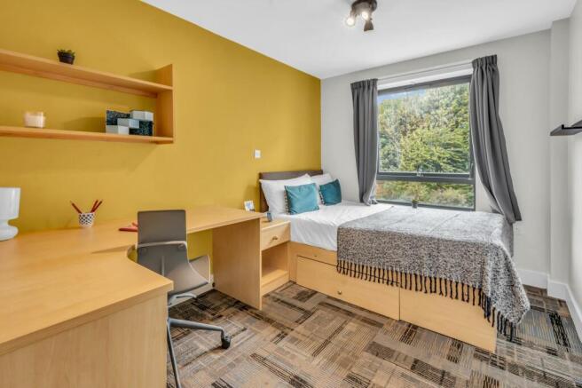 1 bed House Share to rent Image 8