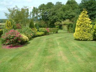 Gardens